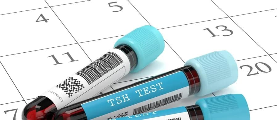 Kompletny kalendarz badań profilaktycznych mężczyzn od 20 roku życia